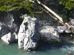 �S������