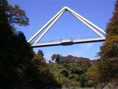 �͂˂�����