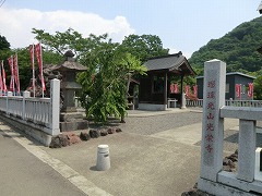 �͂˂���������