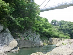 ���o�p���搅��