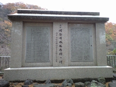 ���o�p���x�搅���ċ��̔�