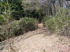 ��������i��