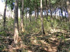 �}�₪����