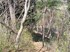 �R�����牺��