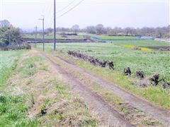 �����̂�����