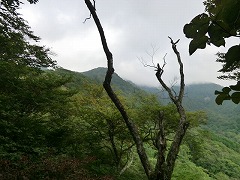 ���n���H