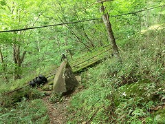 �P�[�u���J�[�O����