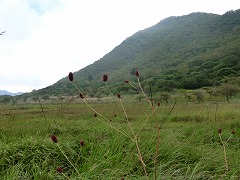 �������R�E