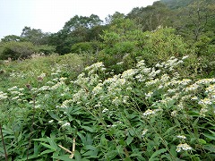 �V�������i