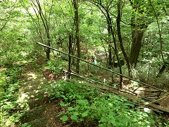 �ԏ邲�_������