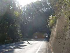 ���ۍ��g���l��