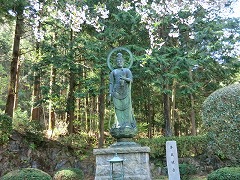 �����ω�