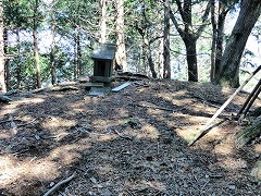 �J�R�R���̐��K