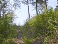 ��������������