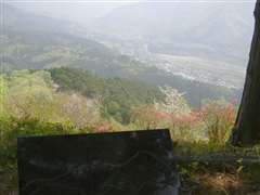 �O���R���ʓW�]