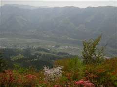 �����Ɠn�ǐ���